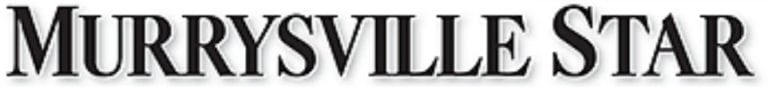 https://angelasangels.org/wp-content/uploads/2020/11/logo_murrysville-768x87-1.jpg